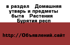  в раздел : Домашняя утварь и предметы быта » Растения . Бурятия респ.